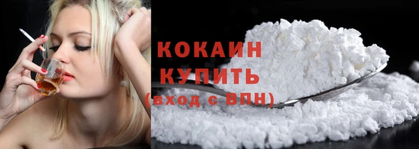 не бодяженный Бородино
