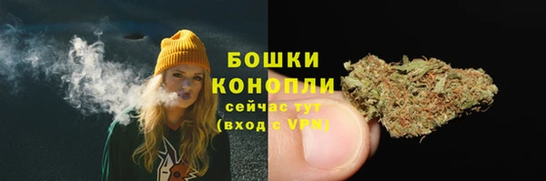 мдпв Верея