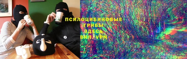 мдпв Верея