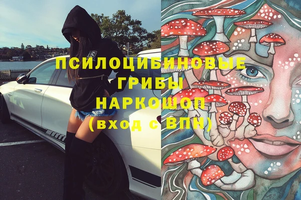 экстази Богданович