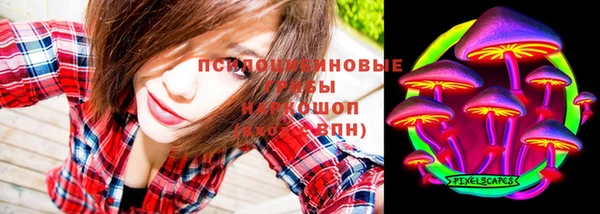 не бодяженный Бородино