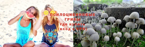 не бодяженный Бородино