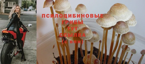 каннабис Бугульма