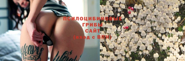 трава Верхний Тагил