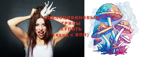 не бодяженный Бородино